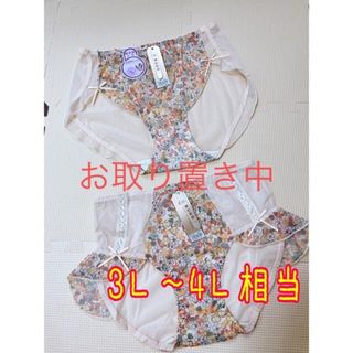 大きいサイズ　3L〜4L相当　ベージュ小花シースルーショーツ2枚セット(ショーツ)