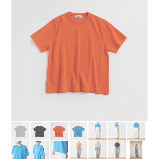 シンゾーン(Shinzone)のSUVIN KNIT TEE◎(Tシャツ/カットソー(半袖/袖なし))