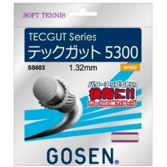 GOSEN(ゴーセン)のゴーセン テックガット5300 スポーツ/アウトドアのテニス(その他)の商品写真