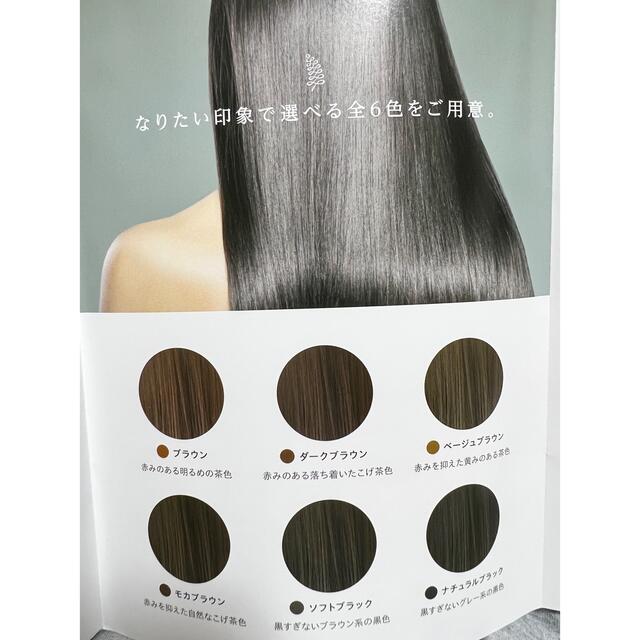 ルプルプ　ヘアカラートリートメント　ブラウン 2