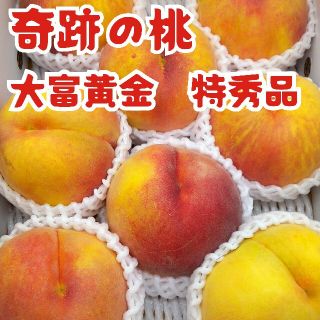 山形県産★奇跡の桃【大富黄金】マンゴーのような桃３kg(フルーツ)