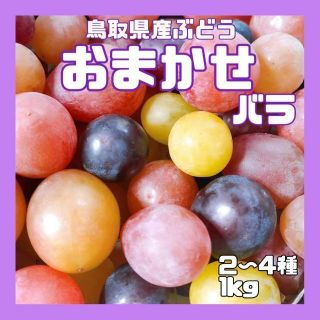 【鳥取県産】おまかせ　バラ　コンパクト　ぶどう　葡萄　ブドウ　1kg 糖度高め(フルーツ)