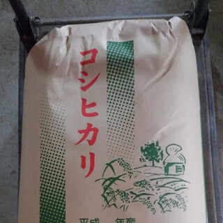 ラーキー様専用　新潟コシヒカリ玄米20kg(米/穀物)