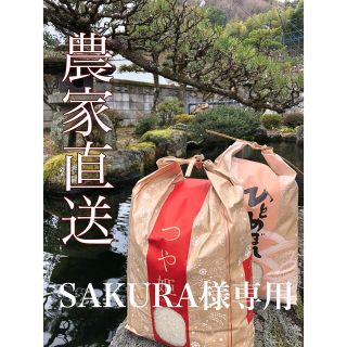 数量限定‼︎【送料無料/特別栽培米】令和3年産お米セット5kg×2袋(米/穀物)