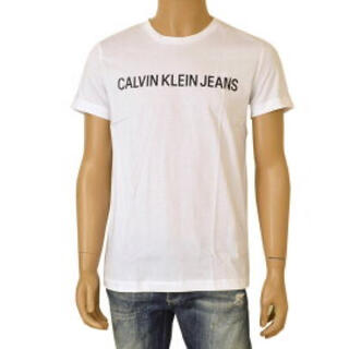 カルバンクライン(Calvin Klein)のカルバンクラインTシャツメンズ(Tシャツ/カットソー(半袖/袖なし))
