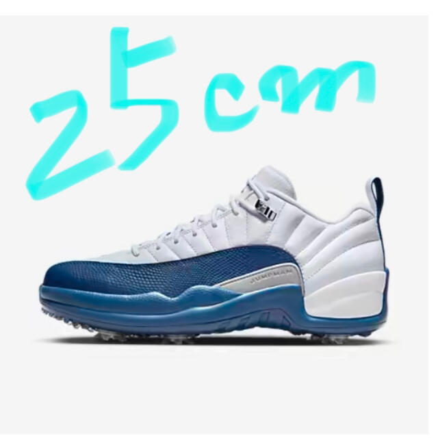 Jordan12 Low golf ジョーダン 12 ロウ ゴルフ 25cm | poolnspacenter.com
