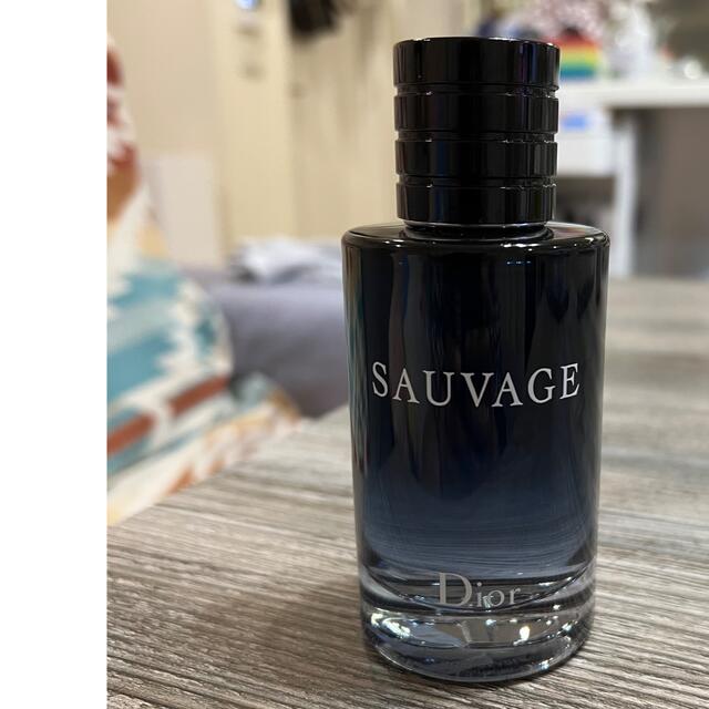 クリスチャンディオール ソヴァージュ オードゥ トワレ 100ml brad