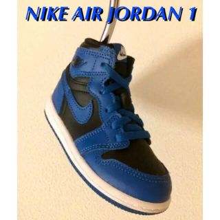 ナイキ(NIKE)の【超超レア・新品】 NIKE JORDAN 1 ナイキ ジョーダン パターカバー(シューズ)