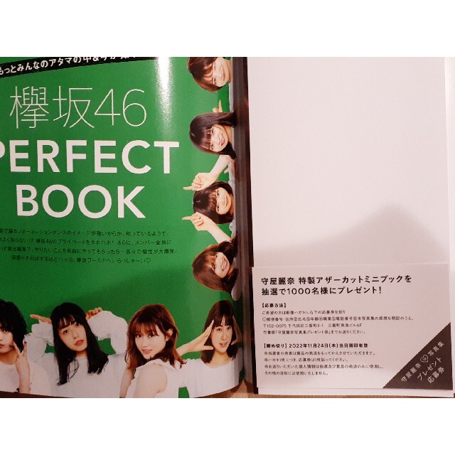 欅坂46(けやき坂46) - 守屋麗奈 写真集 応募券 ポストカード 櫻坂46 欅