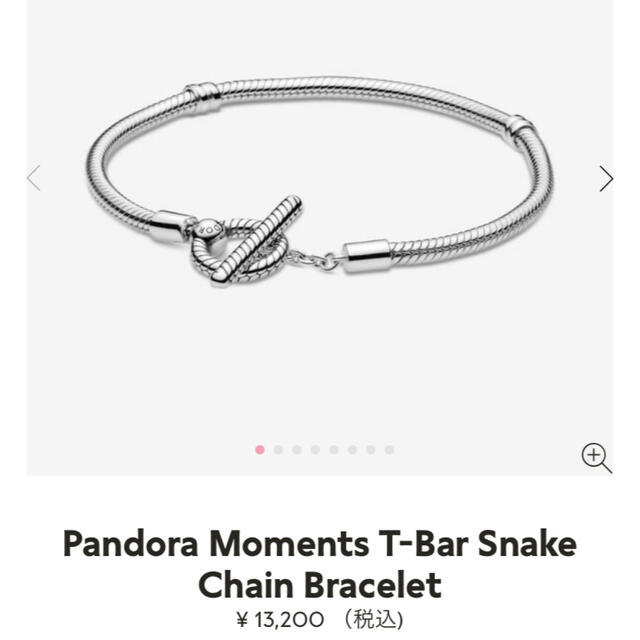 新品】Pandora ブレスレット チャーム付き | paymentsway.co