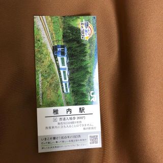 いまこそ輝け！北のキハ183系記念入場券　稚内駅(鉄道乗車券)