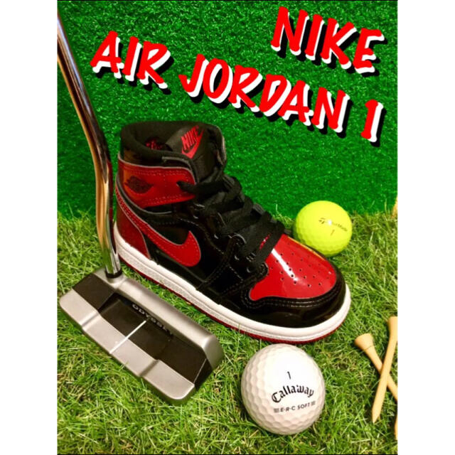 【超超レア・新品】 NIKE JORDAN 1 ナイキ ジョーダン パターカバー