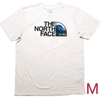 ザノースフェイス(THE NORTH FACE)の[THE NORTH FACE] ノースフェイス Tシャツ(ハーフドーム) M(Tシャツ/カットソー(半袖/袖なし))