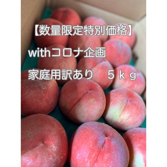 川中島 食品/飲料/酒の食品(フルーツ)の商品写真