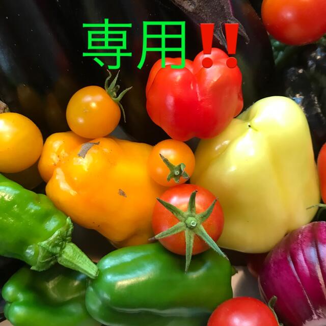 くっきー様専用‼️彩り野菜セット♪ 食品/飲料/酒の食品(野菜)の商品写真