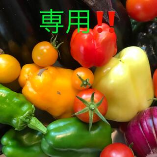 くっきー様専用‼️彩り野菜セット♪(野菜)