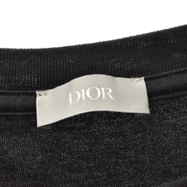 DIOR ディオール 21AW×PETER DOIG ピータードイグ OVERSIZED TEE ロゴ
