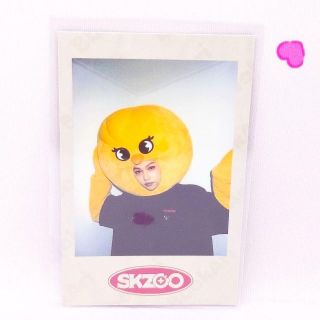 フィリックス　ポラロイド　チェキ　特典　ペンミ skzoo　straykids(その他)