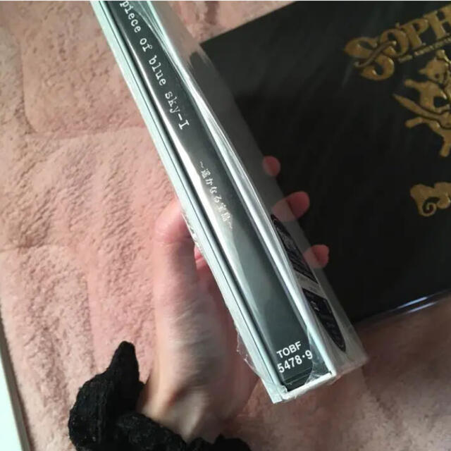sophia ソフィア　遙かなる宝島　DVD エンタメ/ホビーのDVD/ブルーレイ(ミュージック)の商品写真