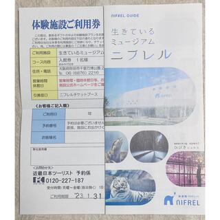 ニフレル 入館券 引換券 1枚 お土産付き 2023.1.31まで (水族館)