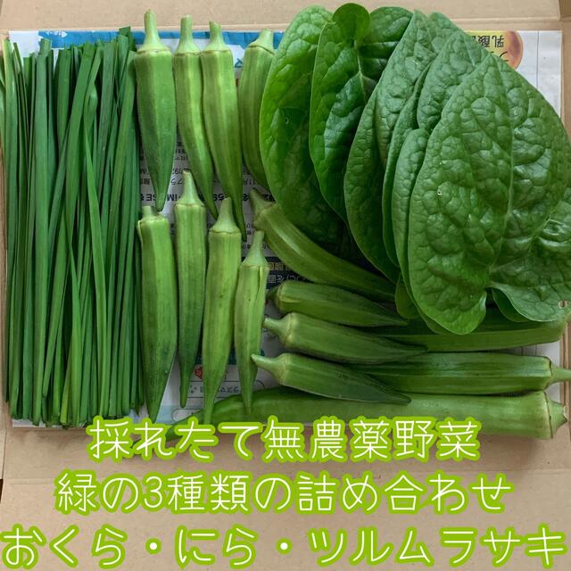 採れたて無農薬野菜＊緑の3種類の詰め合わせ＊おくら等＊夏野菜セット＊ネコポス＊ 食品/飲料/酒の食品(野菜)の商品写真