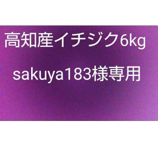 高知産イチジク 品種「桝井ドーフィン」6kg ジャム用(生食可)  無農栽培(フルーツ)