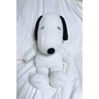 スヌーピー(SNOOPY)のスヌーピー　ぬいぐるみ　新品　(ぬいぐるみ)