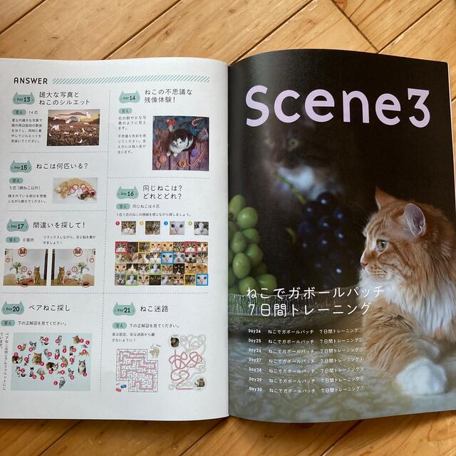 かわいい！楽しい！見ているだけで目がどんどん良くなるねこ写真 エンタメ/ホビーの本(健康/医学)の商品写真