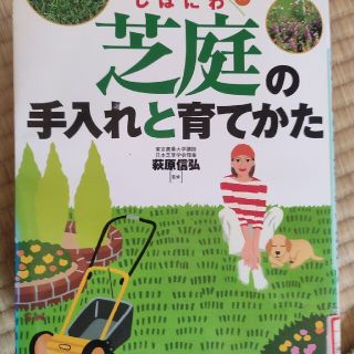 芝庭の手入れと育てかた やさしくわかる(趣味/スポーツ/実用)