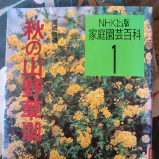 秋の山野草１００(趣味/スポーツ/実用)