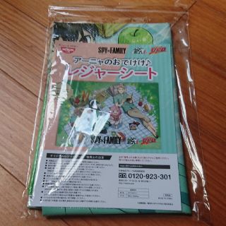 ニッシンショクヒン(日清食品)のレジャーシート☆新品☆未開封品(ポスター)