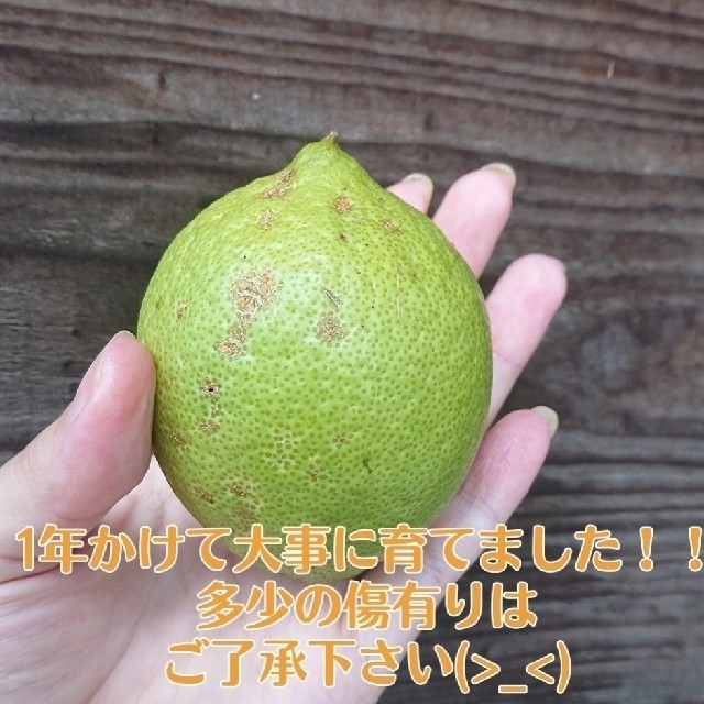 皮まで安心！  レモン 食品/飲料/酒の食品(野菜)の商品写真