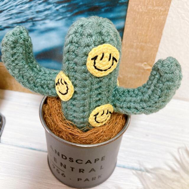 再販♡編みサボテン🌵ミニsize☺︎ドットニコちゃん ハンドメイドのインテリア/家具(インテリア雑貨)の商品写真