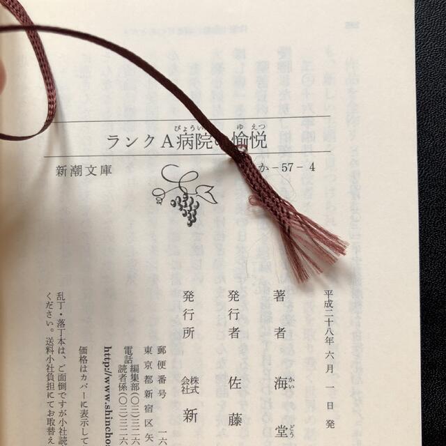 ランクＡ病院の愉悦 海堂尊 エンタメ/ホビーの本(文学/小説)の商品写真