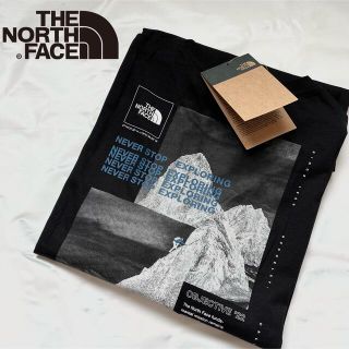 ザノースフェイス(THE NORTH FACE)のノースフェイス メンズ 長袖 ロンT トレーナー Tシャツ ロゴプリント M 黒(Tシャツ/カットソー(七分/長袖))