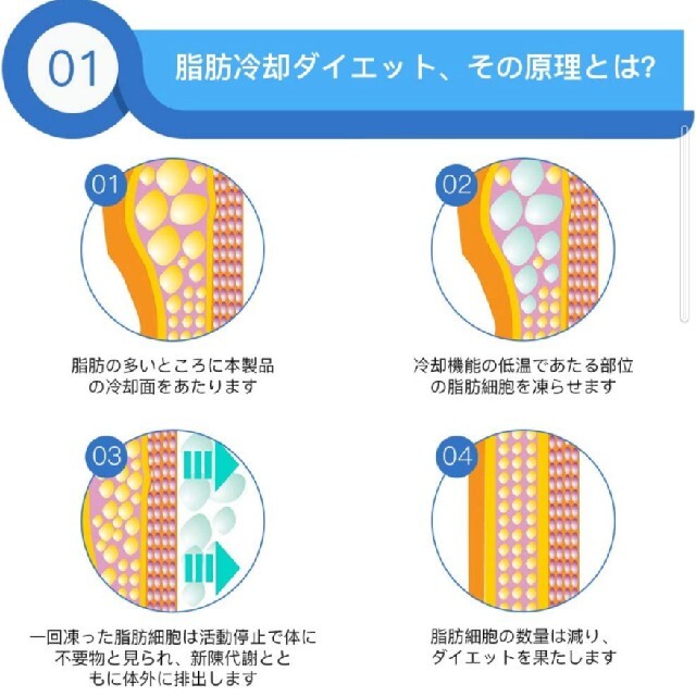 脂肪冷却マシンタイムセール24時間 3