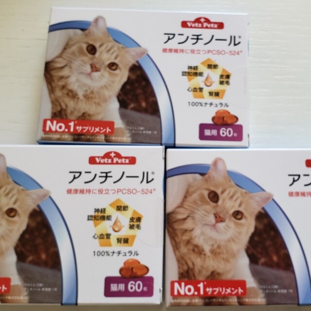猫アンチノール60粒3箱