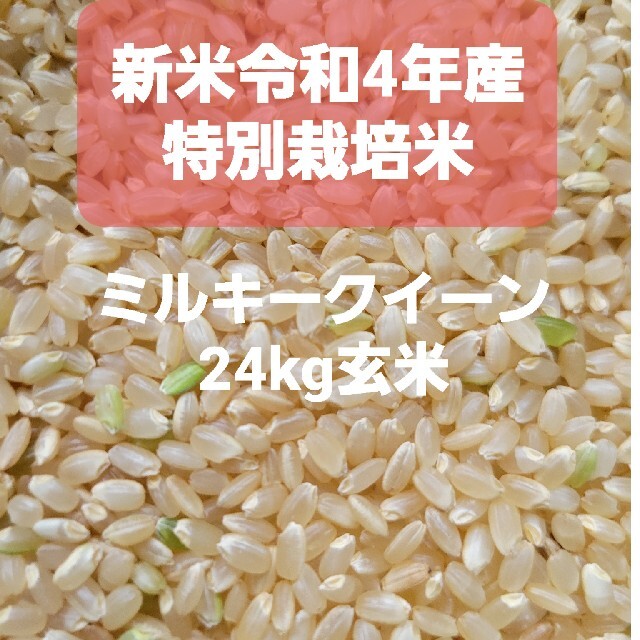 令和元年産ミルキークイーン玄米24k.精米すると21k.になります。送料精米込-