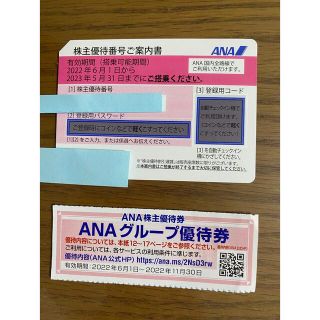 エーエヌエー(ゼンニッポンクウユ)(ANA(全日本空輸))のANA優待券　ANAグループ優待券(その他)