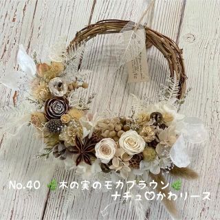 🌿木の実のモカブラウンB🌿ナチュ♡かわドライフラワーリース(リース)