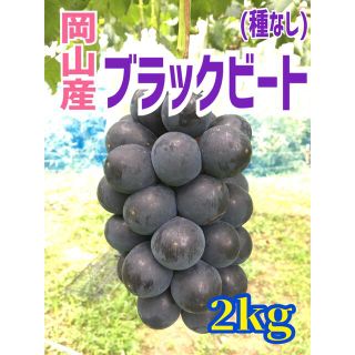 (訳あり)新品種　岡山県産ブラックビート　クール便(フルーツ)