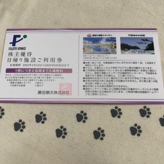 1枚2名様分　ユネッサン　下田海中水族館　藤田観光　株主優待券(遊園地/テーマパーク)