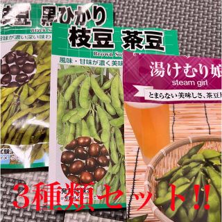 野菜の種 枝豆の種 3種各20粒計60粒(野菜)