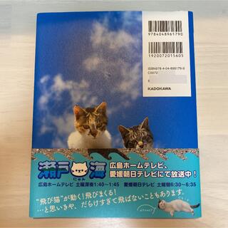瀬戸内海の猫が教えてくれた、だらりのらりと生きる術。 「にゃん旅