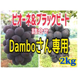 Damboさん専用(フルーツ)