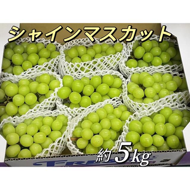 シャインマスカット 約5kg 7房〜11房 ぶどうの通販 by mitsuwa｜ラクマ