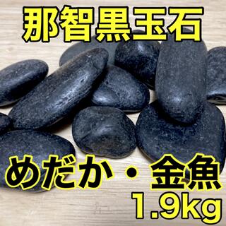 三重県熊野産 那智黒玉石 1.9kg アクアリウム 金魚 めだか 熱帯魚 焼き石(アクアリウム)