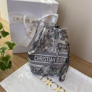 DIOR トワルドジュイ トラベルポーチ-