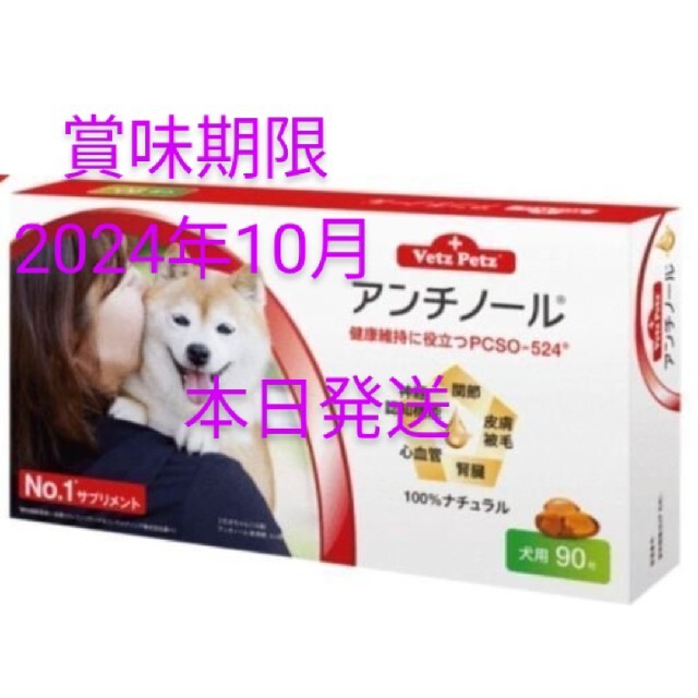 アンチノール 90入り未開封 | aosacoffee.com