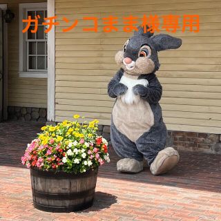 ディズニー(Disney)のガチンコまま様専用(キャラクターグッズ)